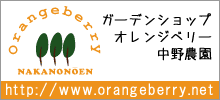 中野農園オレンジベリー